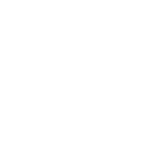 logo-valentia-shape
