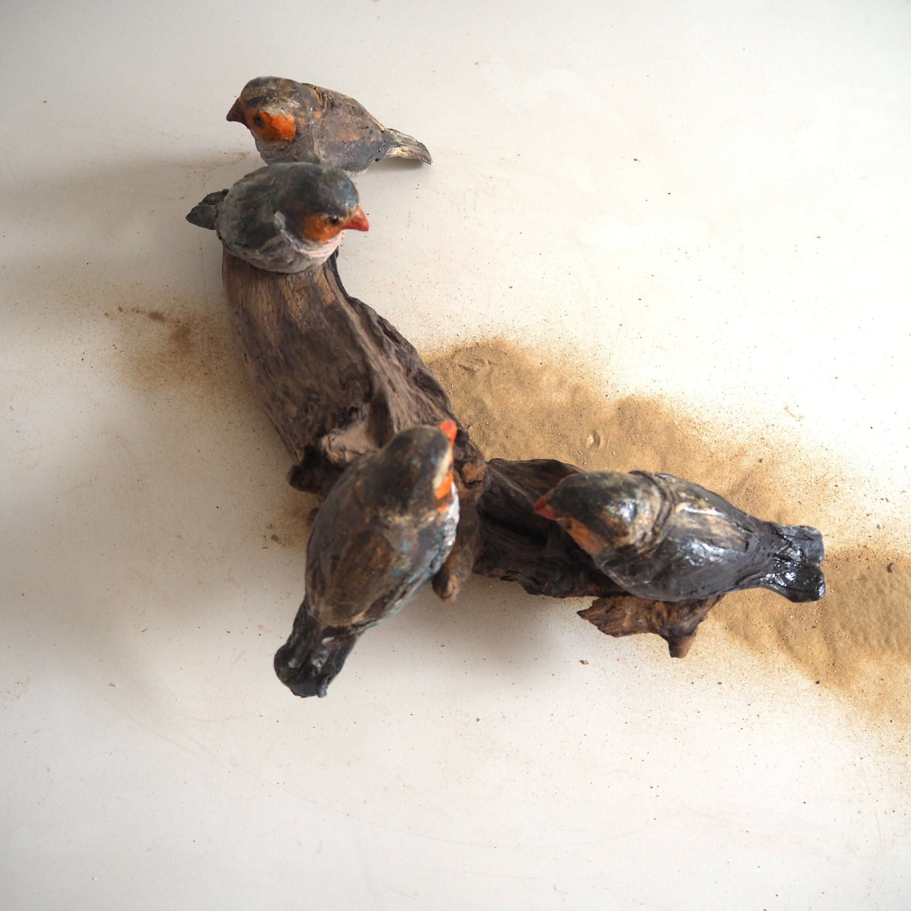 Quatre Astrilds sur bois brûlé (Grès) image 4