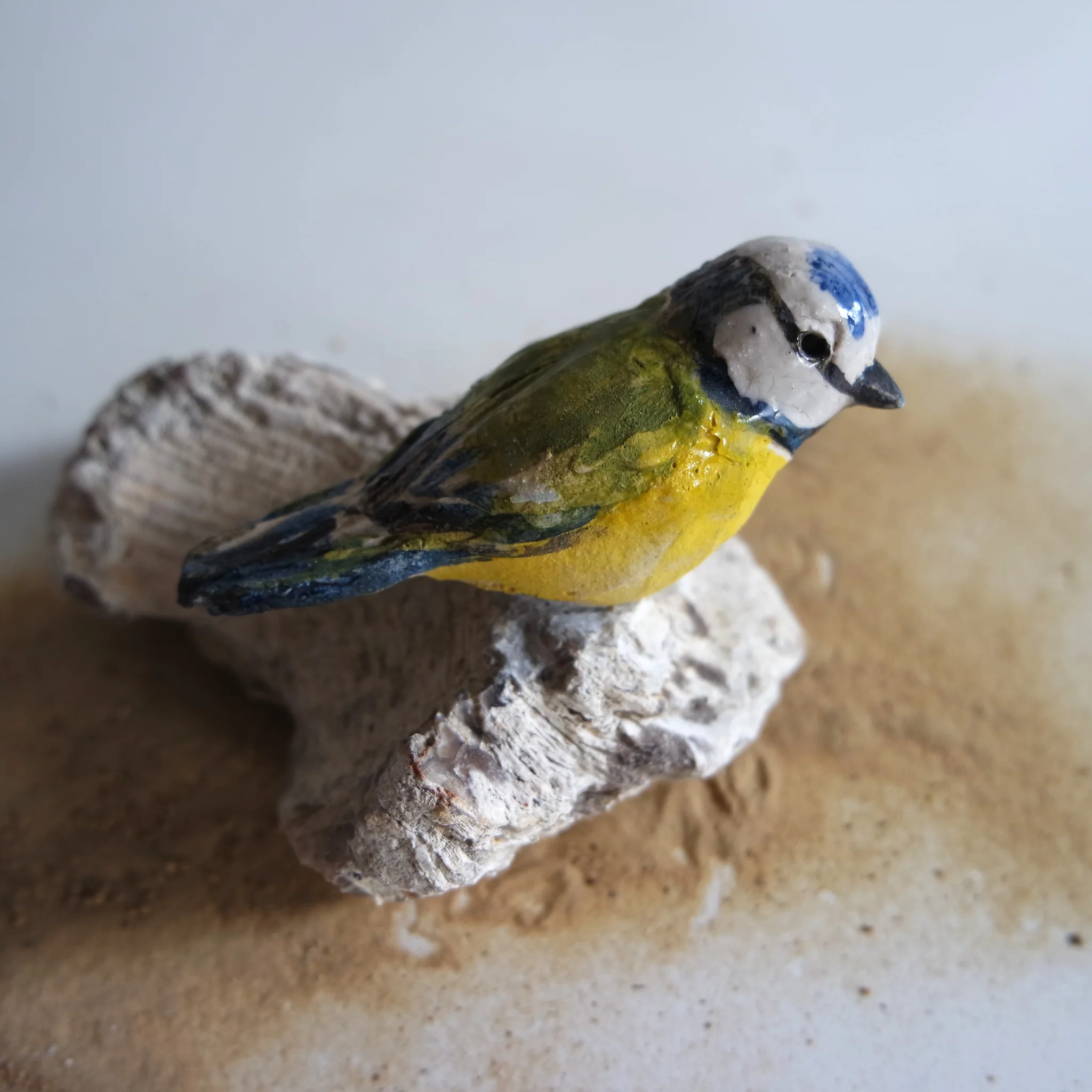 Mésange bleue sur pierre fossile (grès) image 2